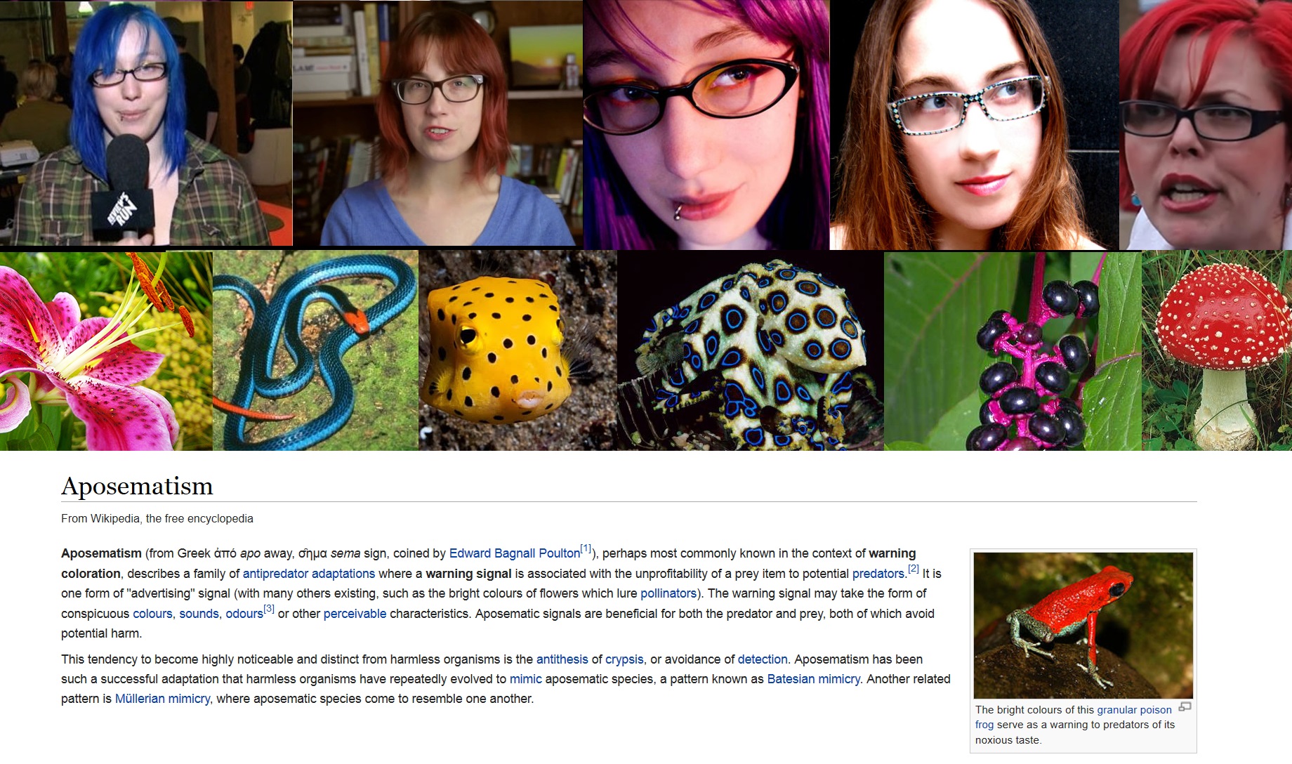 AnimeHairAposematism.jpg