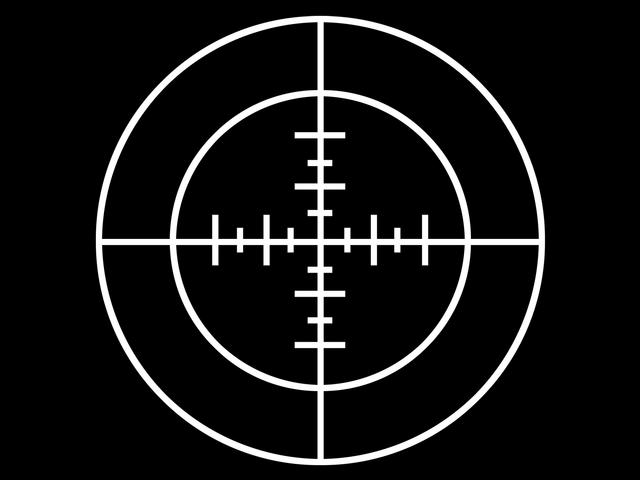 Crosshairs.jpg