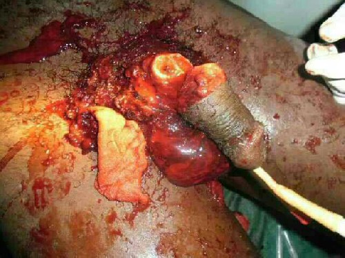 Cut off black dick.jpg