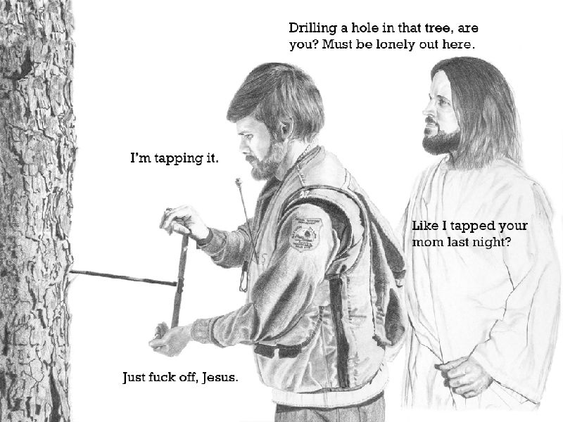 FOREST 1024x768 Tapping.jpg