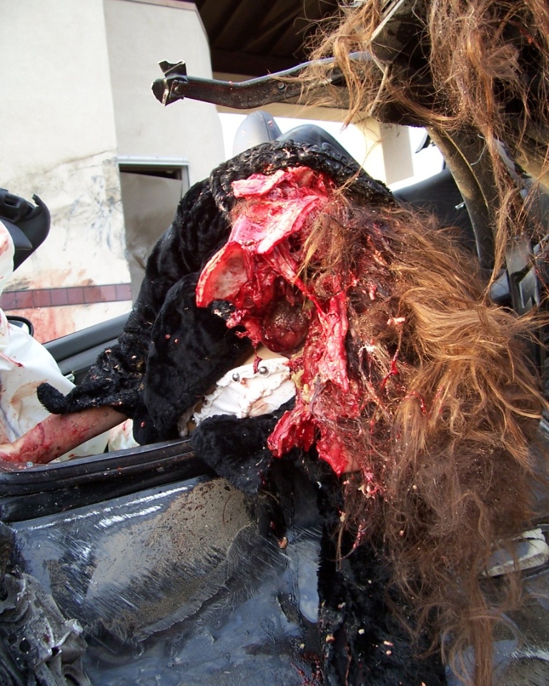 Fatal crash 9 From Charonboat.jpg