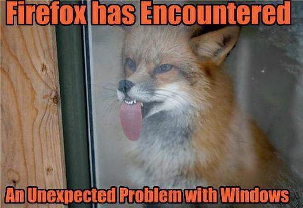 Firefox - Fox - Unexpected Error.jpg
