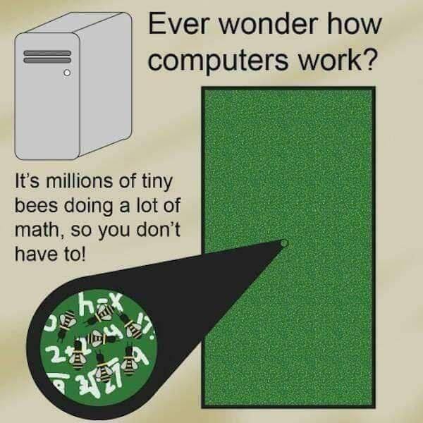 How Computers Work - Millions of tiny bees doing math.JPG