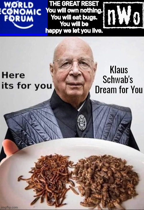 Klaus Schwab's Dream for You.jpg