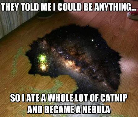 LOL Cats - Captions - Nebula.jpg