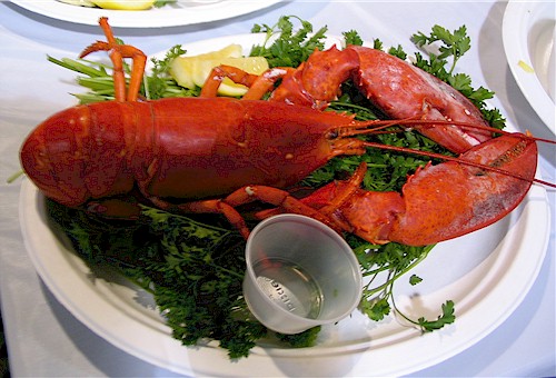 Lobster Dinner.jpg