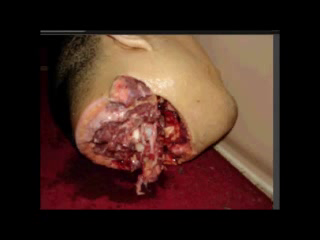 Luka Magnotta Necrophilia 9.png