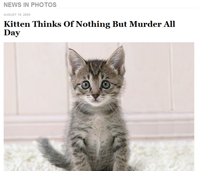 MurderKitten.png