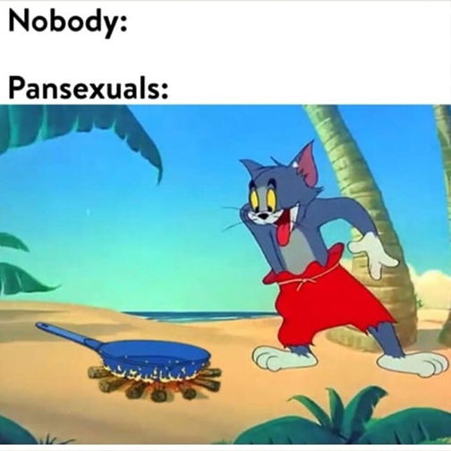 Nobody - Pansexuals - Tom n Jerry memes.JPG