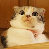 OMH Facebook Profile Picture.jpg