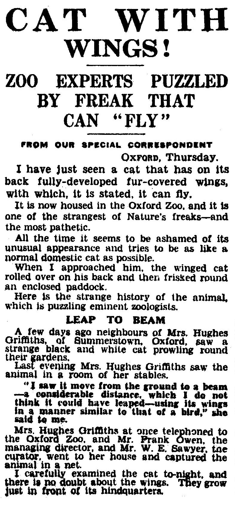 Oxford winged cat sunday dispatch 10 jun 1933.jpg