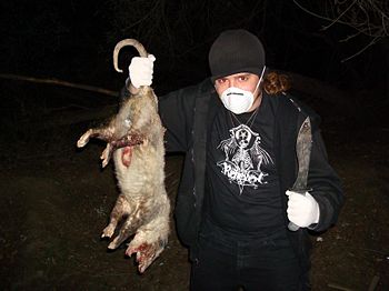 Roadkill fapfapfap.jpg