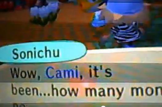 Sonichu_in_Animal_Crossing.jpg