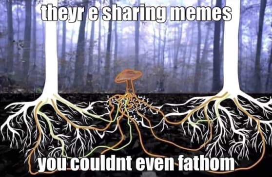 They are sharing memes you could not even fathom - trees and roots meme.jpg
