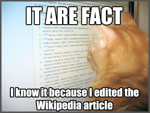 Wikipedia cat.jpg
