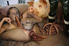 This pic got you so [[pwned