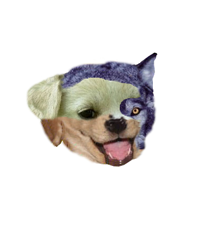 [[abortion|WHAT HAS SCIENCE DONE?