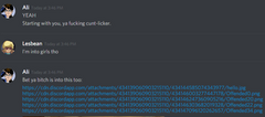 Ali sends a user gore on discord