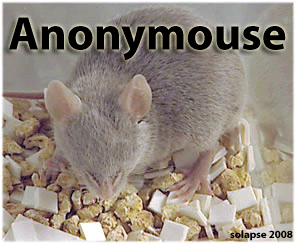 A challenger appears!