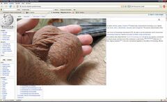 Wikipedias very informative Scientology page