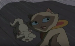 How Sagwa really feels about BlueCatRiolu's treatment of her!