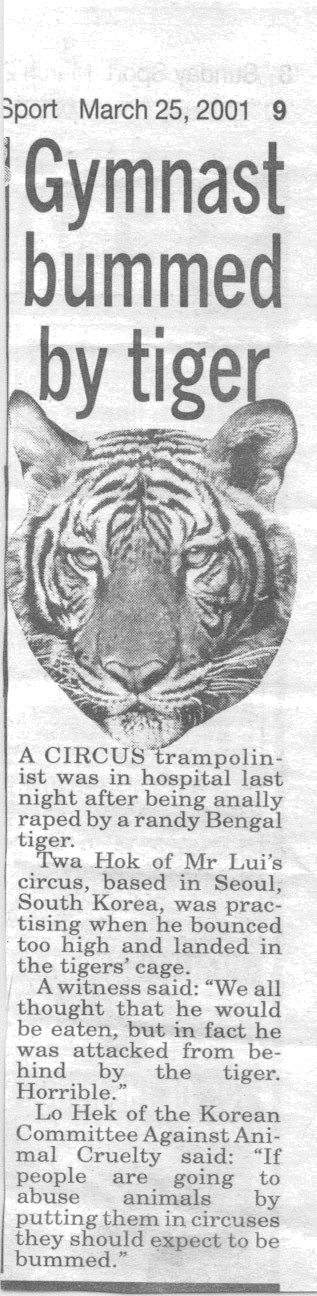 What the fuck is it with cats?