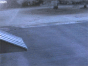 How NOT to make your cat yodel.