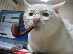 "Translations hard. Iz in [[machine code