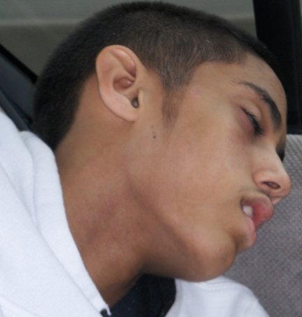 upright | alt=dolphin | Former IRC celebrity via [[Grove