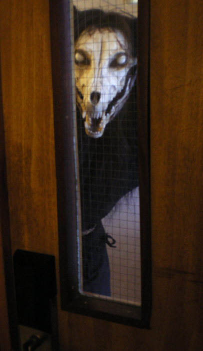 Don't Look Out Your Window Now.jpg