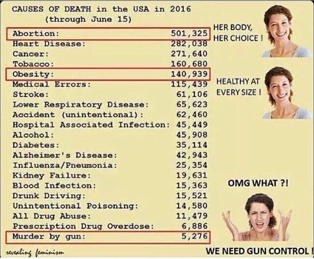 Feminist logic when it comes to gun control