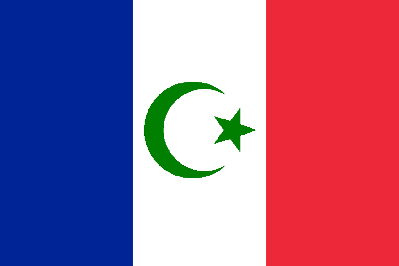 New proposed flag design.