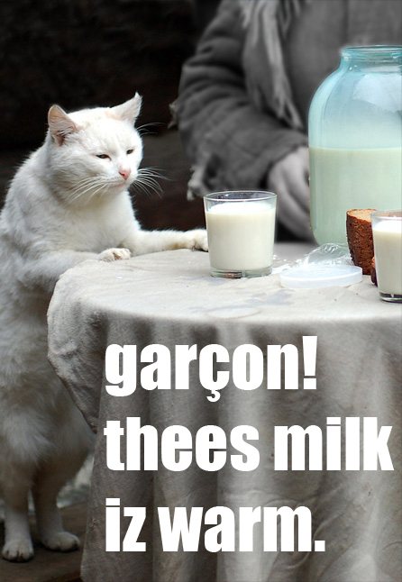 ...and milk