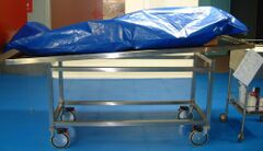 Lookin' good, Wanda!