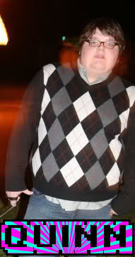 Visual representation of an FL Studio user