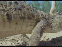 Also matches the rhythm, muthafucka!