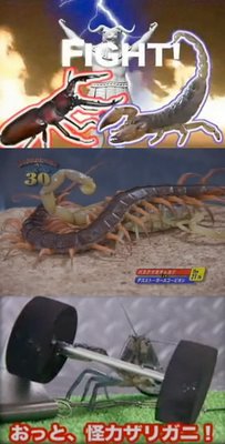 They have one lifting weights, WTF?