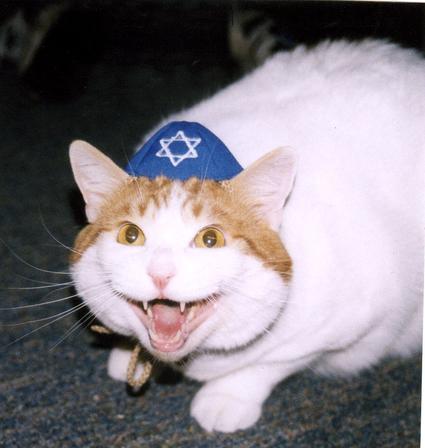 Jews often practice [[animal abuse