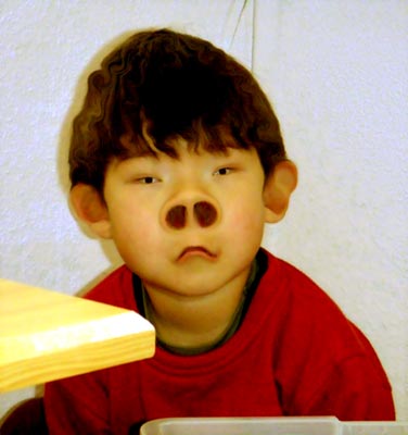 asians and their bizarre facial features