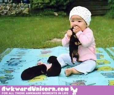 A typical Korean child can go through a litter during a picnic