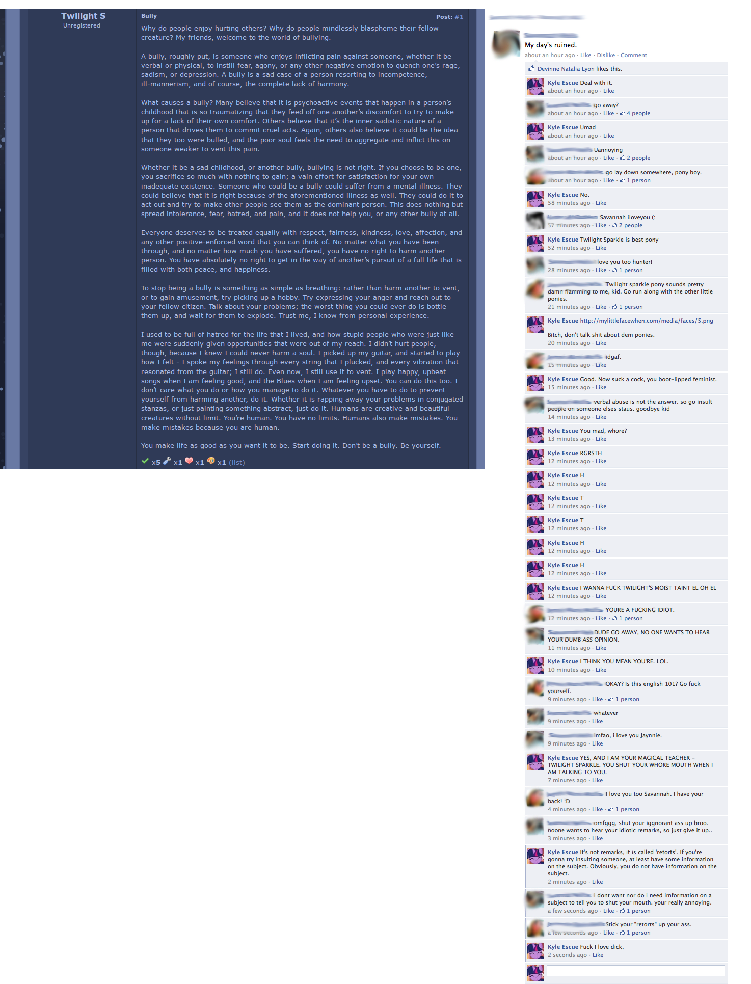 "Don't be a bully, but harassing random people on facebook is okay!"  It's like watching an epileptic seizure on Facebook.
