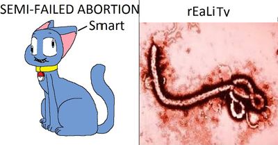 LostnThoughtsA's Depiction of BlueCatRiolu.