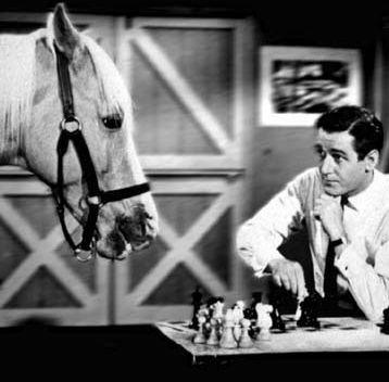 Mister Ed, not to be confused with [[Mr. Hands