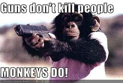 Monkeygun.jpg