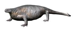 A reconstruction of the fossil of an ancient Jew