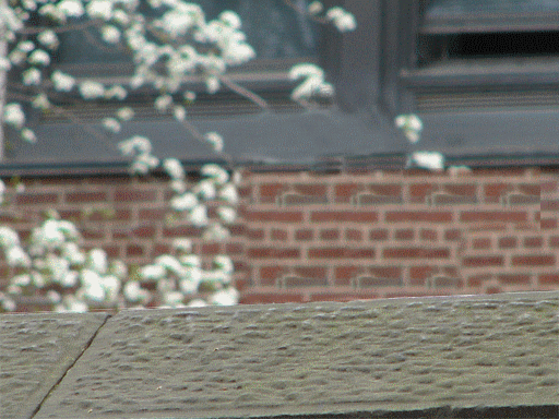 Toni is in ur rAIDS doin' her invest werkz for OSA