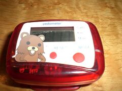 Pedometer