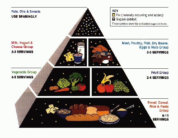 The food pyramid