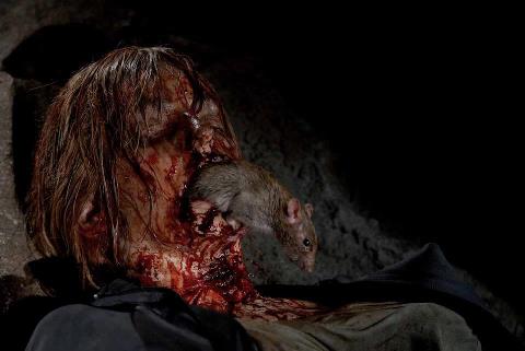 Rat Enjoying A Meal.jpg