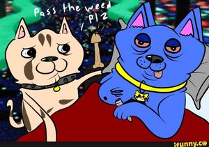 A better and truthful view of how they really are.